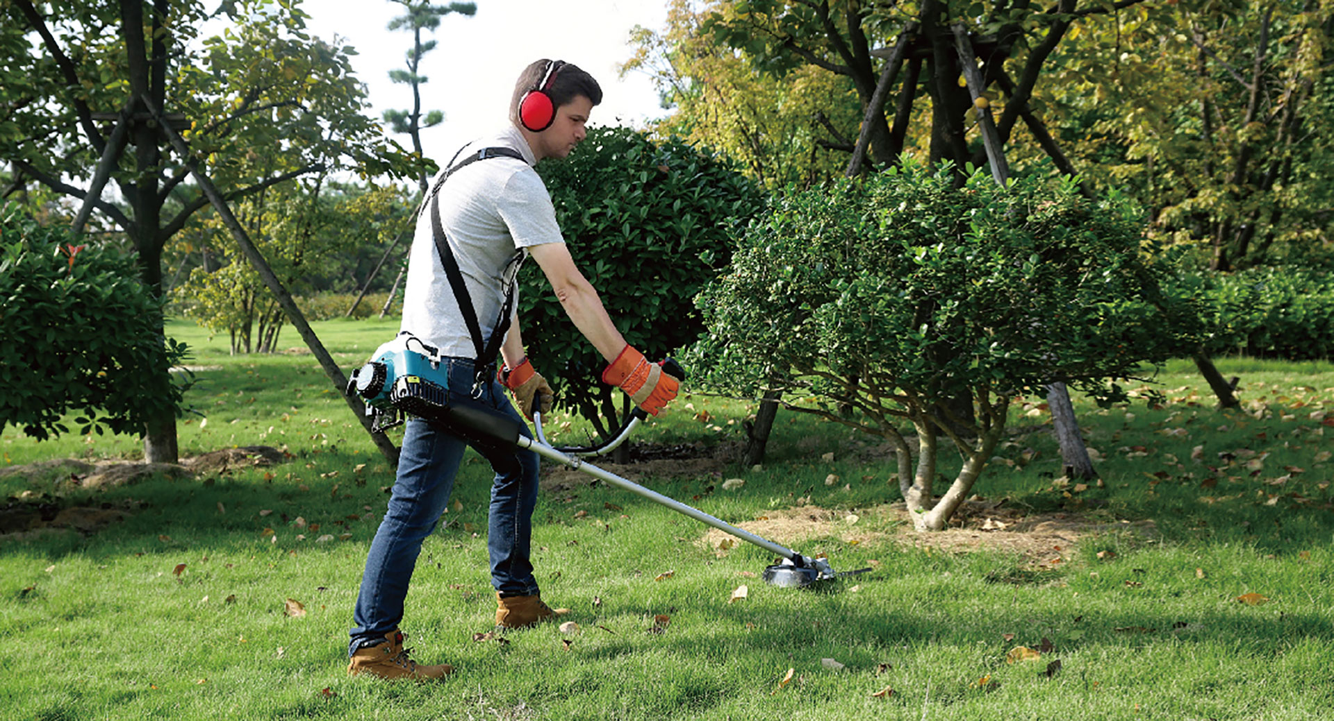Garden Equipment Buying Guide: How to Avoid Common Pitfalls